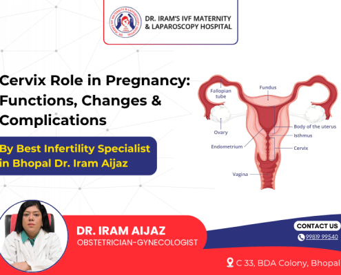 Female infertility treatment in Bhopal