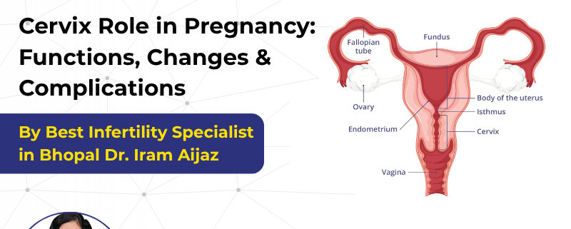 Female infertility treatment in Bhopal